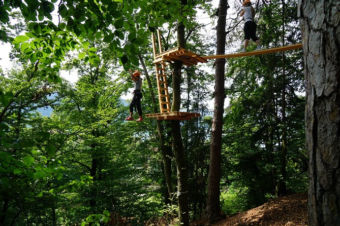 Waldseilpark Wörthersee - Choosing between the children’s course and panorama course