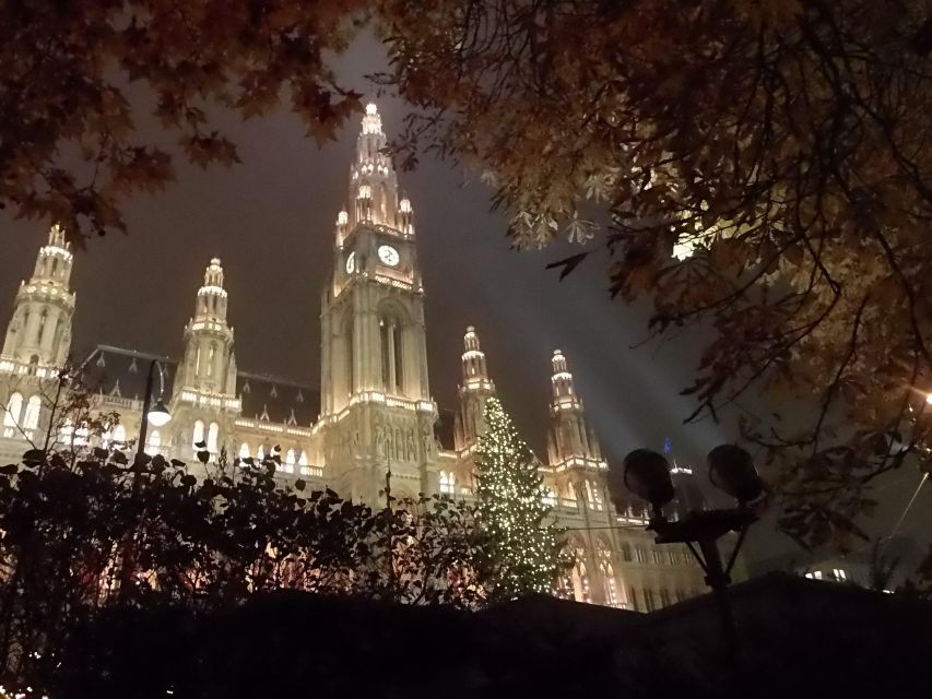 Wien: Tour with locals on the trails of the Christmas Tree - Walking the historic center for 90 minutes
