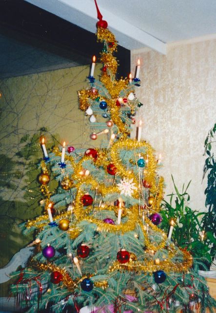 Wien: Tour with locals on the trails of the Christmas Tree - Who will enjoy this walk most