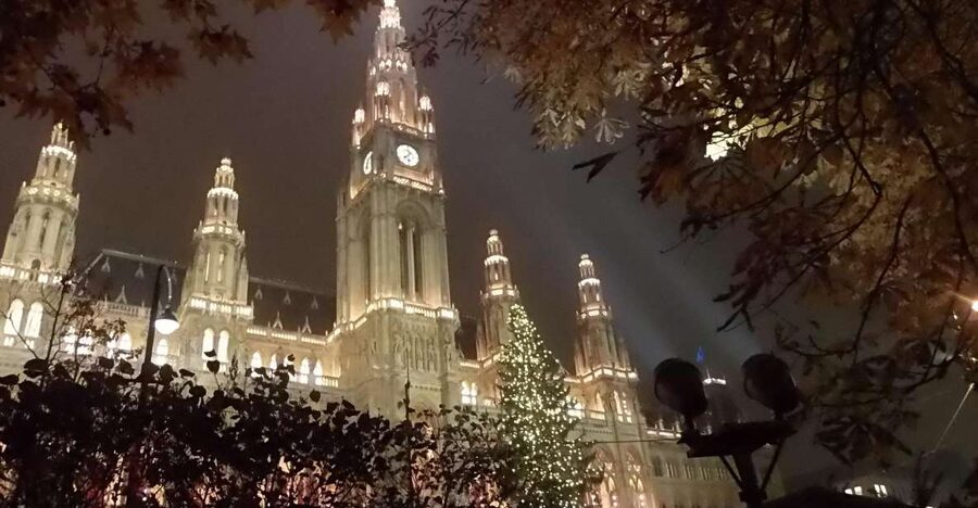 Wien: Tour with locals on the trails of the Christmas Tree - Meeting the guide at the Anker Clock