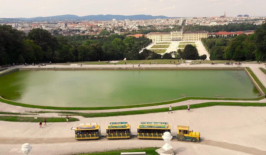 Wien: Tours with locals by public transport & walking - Key points to know before booking