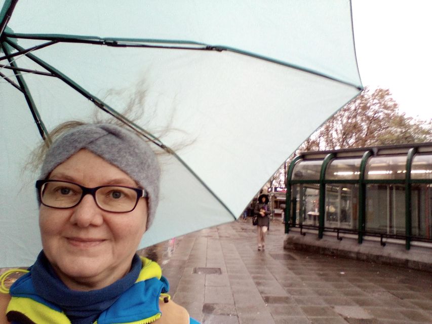 Wien: Tours with locals by public transport & walking - The guide’s role and the pace