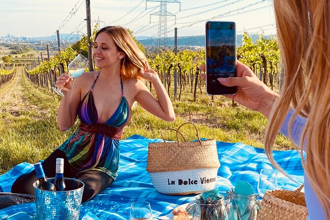 Wine Picknick overlocking vienna - The vineyard stop and city views