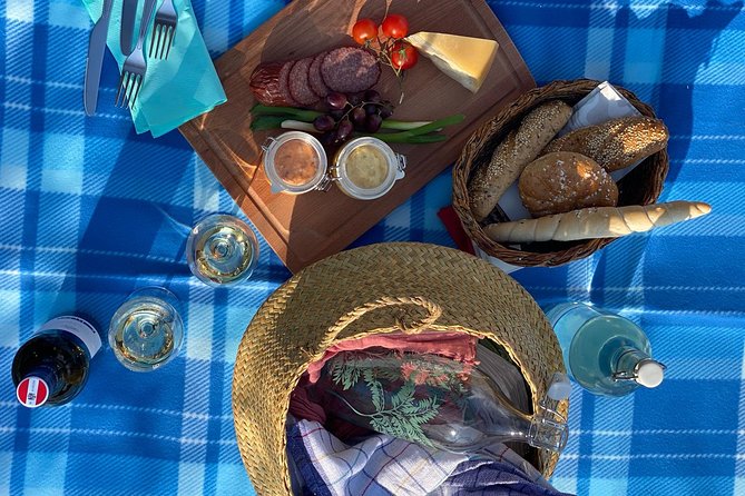 Wine Picknick overlocking vienna - Who will enjoy this wine picnic most